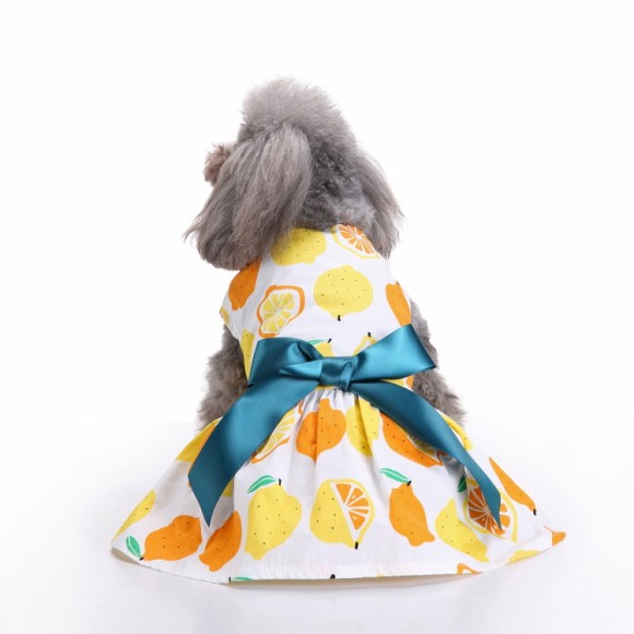 Pets.Love.Earth Citrus Cocktail Dress With Blue Bow