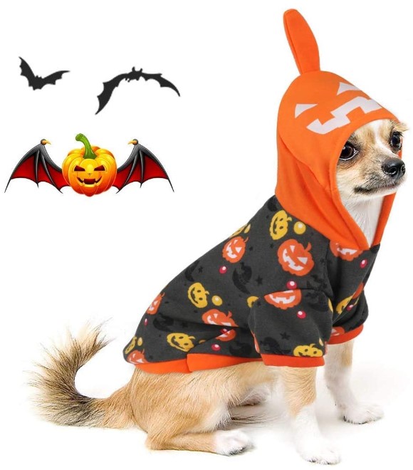 Pets.Love.Earth Halloween Pumpkin Printed Hoodies