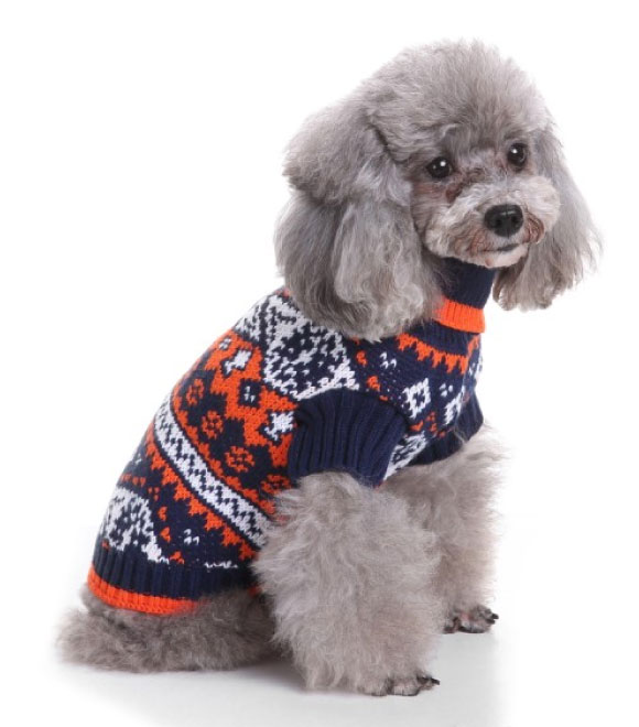 Pets.Love.Earth Bat pattern Sweater Orange