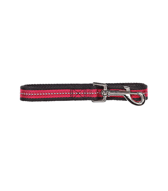 Pawise Dog Reflective Leash Red