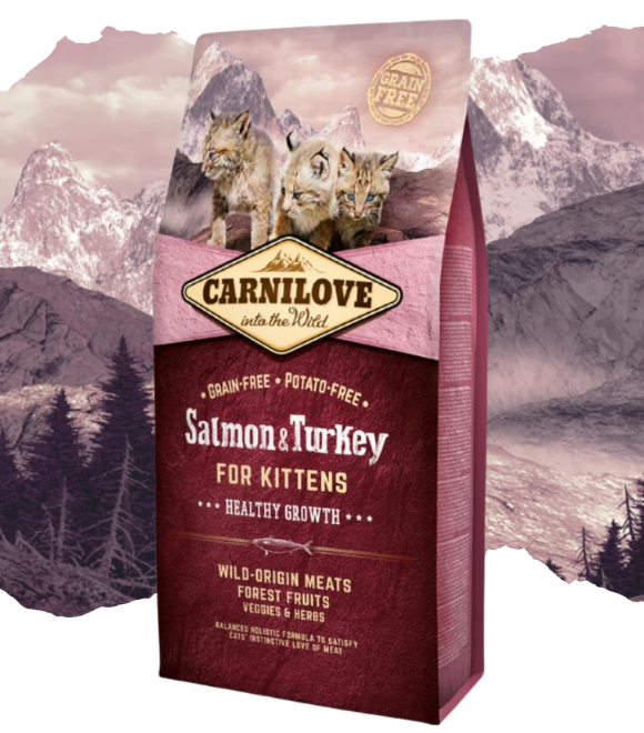 Carnilove Salmon & Turkey for Kittens – Healthy Growth