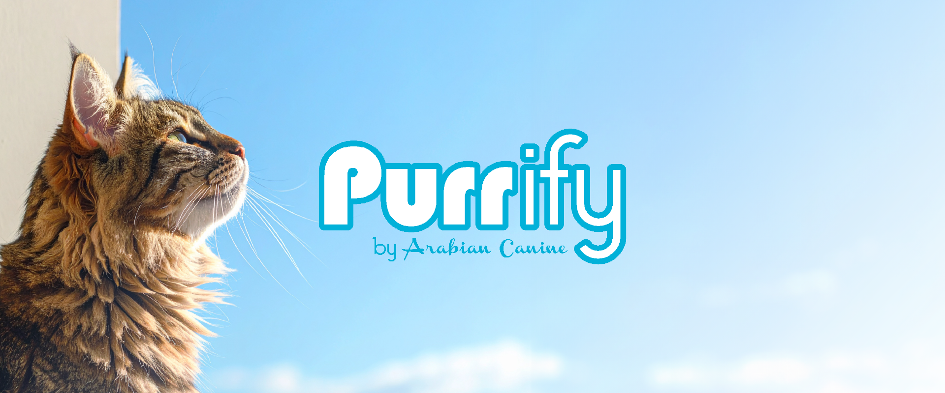 Purrify Best Seller | Pet Arabia