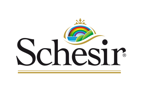 Schesir