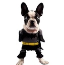 Pets.Love.Earth Batman Costumes