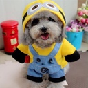 Pets.Love.Earth Minon Costumes
