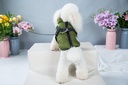 Pets.Love.Earth Jacket With Harness Green