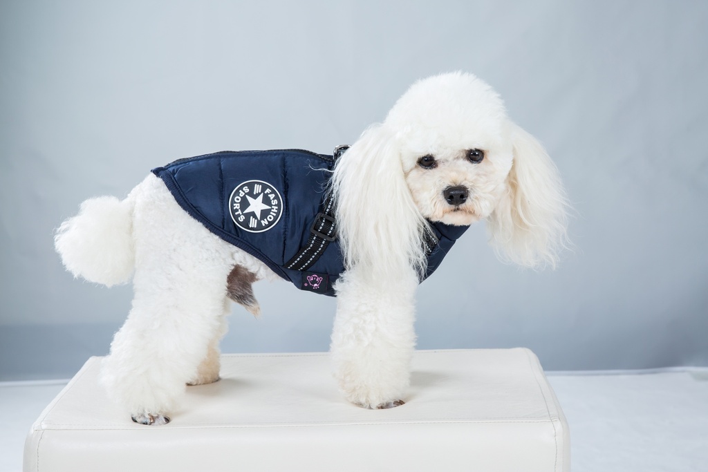 Pets.Love.Earth Jacket With Harness Blue