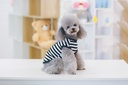 Pets.Love.Earth Strap Vest Black