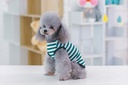 Pets.Love.Earth Strap Vest Green