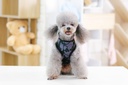 Pets.Love.Earth Camouflage Tank-Top