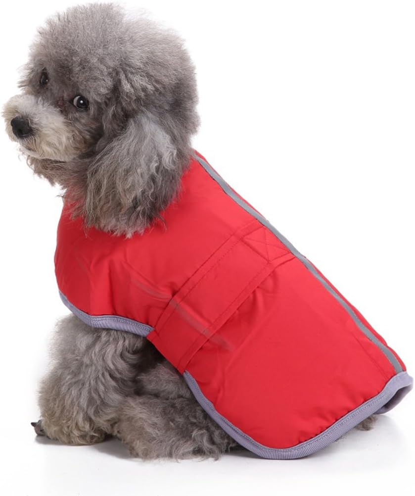 Pets.Love.Earth Reversible Jacket With Reflective Edging Red