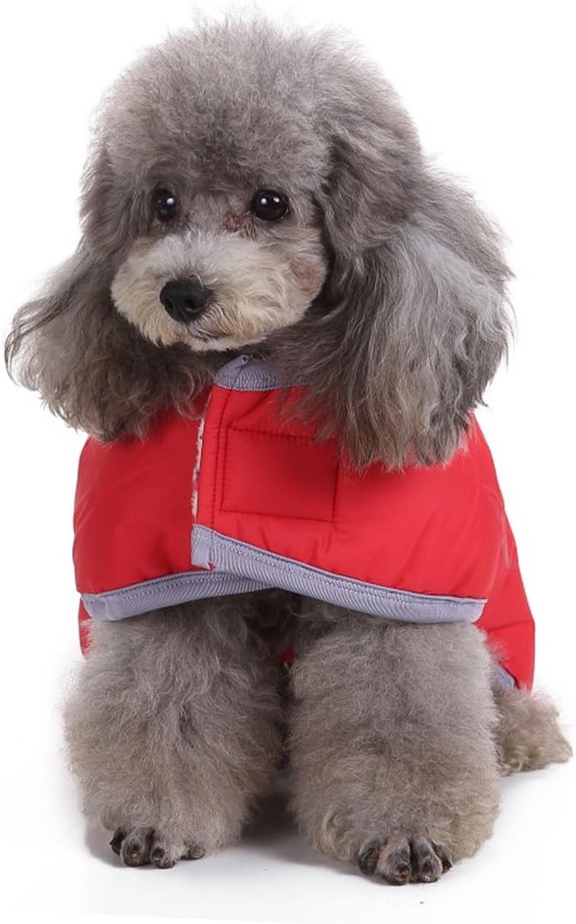 Pets.Love.Earth Reversible Jacket With Reflective Edging Red