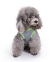 Pets.Love.Earth Frog Vest