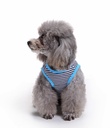 Pets.Love.Earth Fish Print Vest