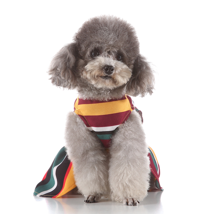 Pets.Love.Earth Rainbow Cocktail Dress
