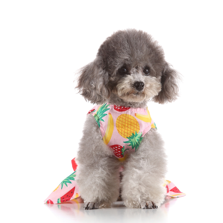Pets.Love.Earth Fruit Cocktail Dress With Red Bow