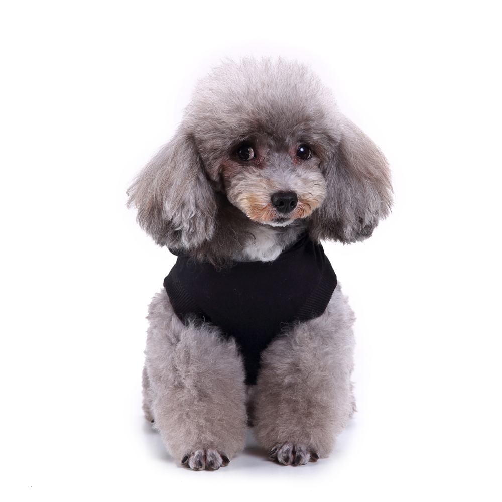 Pets.Love.Earth Hoodie Black