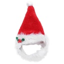 Pets.Love.Earth Santa Hat With Beared