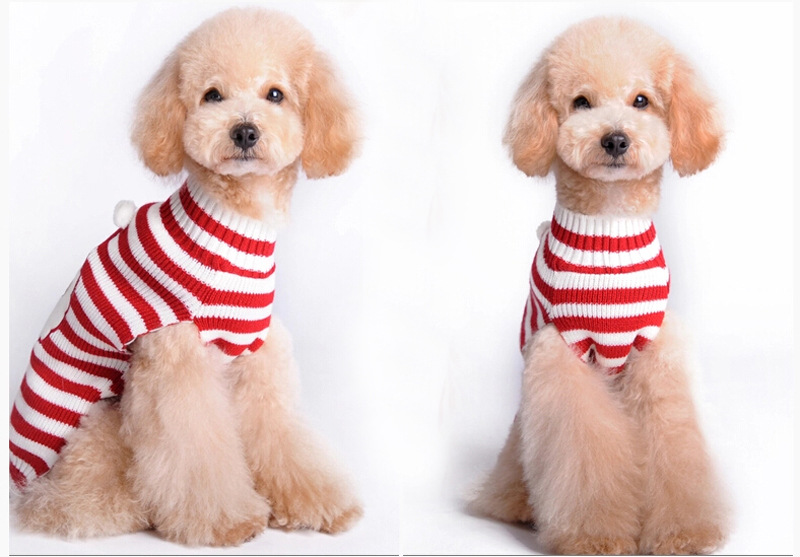 Pets.Love.Earth Sanata Head Sweater Red Strap