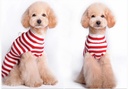 Pets.Love.Earth Sanata Head Sweater Red Strap