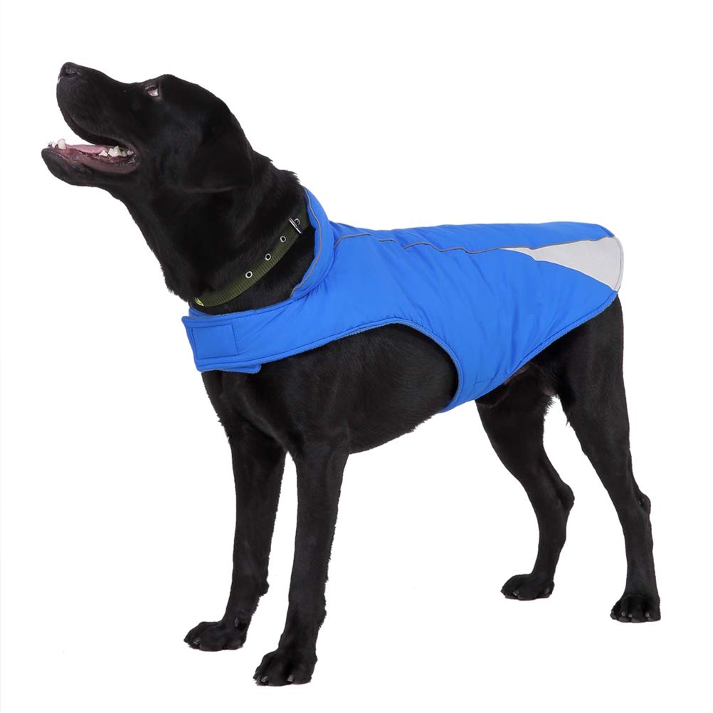 Pets.Love.Earth Double Spell Reflective Jacket Blue