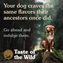 Taste of the Wild High Prairie Puppy Canine Formula Dry Food