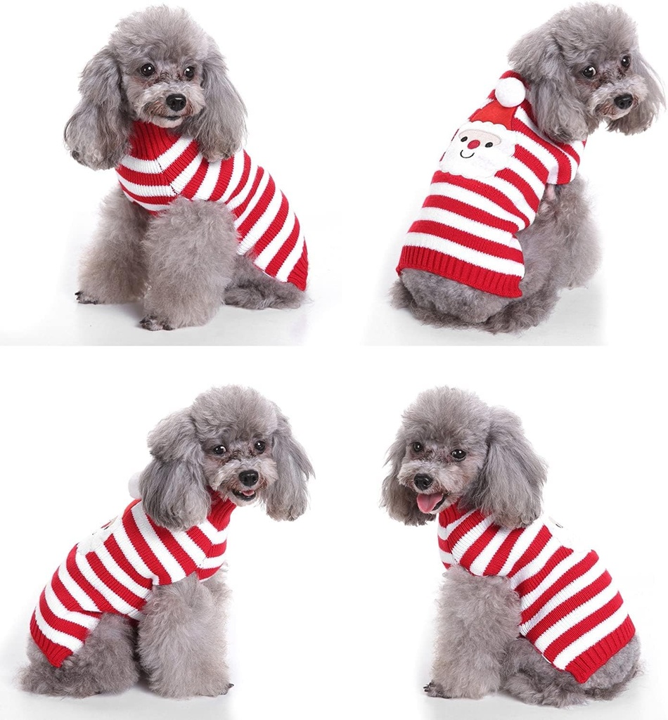 Pets.Love.Earth Santa Sweater
