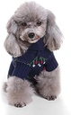 Pets.Love.Earth Santa Sweater