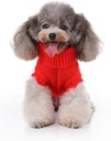 Pets.Love.Earth Show Clown Sweater Red
