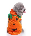 Pets.Love.Earth Pumpkin costume