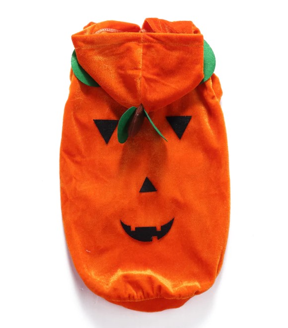 Pets.Love.Earth Pumpkin costume