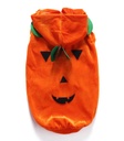 Pets.Love.Earth Pumpkin costume