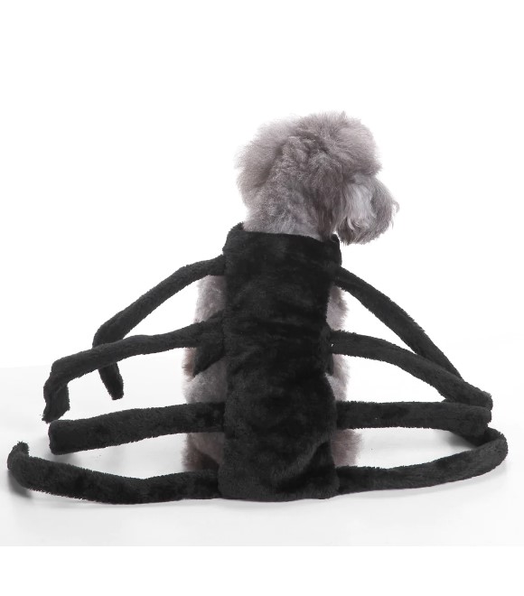 Pets.Love.Earth Spider Suit 