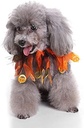 Pets.Love.Earth Hallowen Ribbon Scarf for Pets