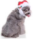 Pets.Love.Earth Santa Hat