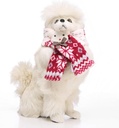 Pets.Love.Earth Snowflake scarf Size 2