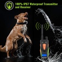 880 Yards Waterproof and Rechargeable Dog Remote Training  Collar-617