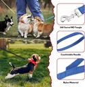 Pets.Love.Earth Nylon Dog Leash Assorted