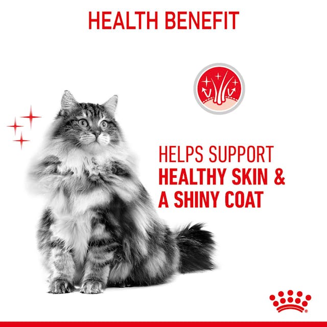 Royal Canin Pouch Hair &amp; Skin Jelly For Adult Cats