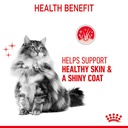 Royal Canin Pouch Hair &amp; Skin Jelly For Adult Cats