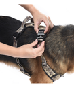Dogness Ranger Camouflage Harness