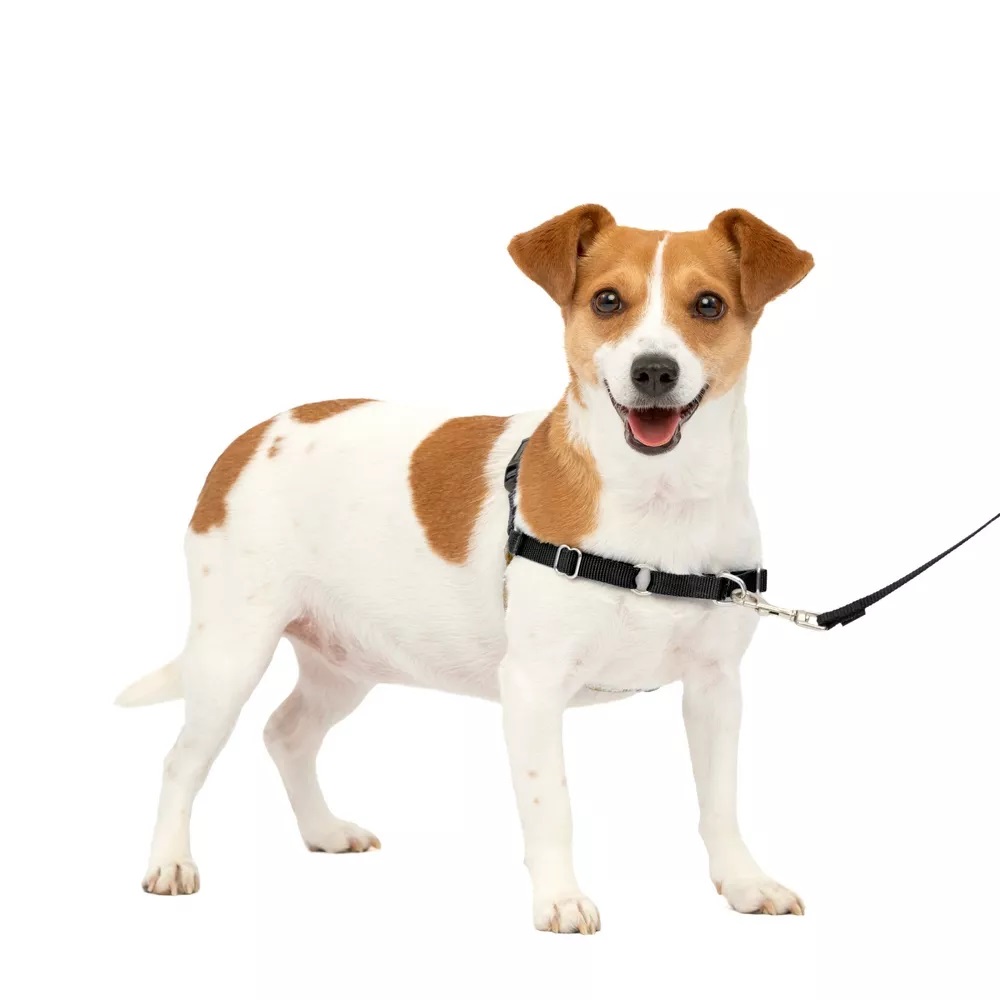 PetSafe Easy Walk Adjustable Dog Harness Small Black