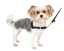 PetSafe Easy Walk Adjustable Dog Harness Small Black