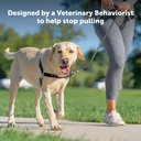 PetSafe Easy Walk Adjustable Dog Harness Small Black