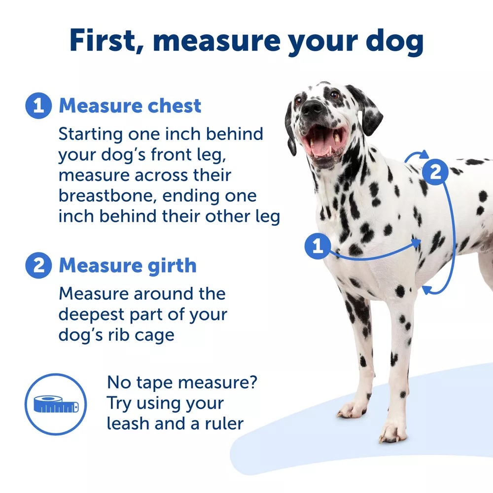 PetSafe Easy Walk Adjustable Dog Harness Small Black