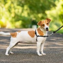PetSafe Easy Walk Adjustable Dog Harness Small Black
