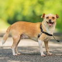 PetSafe Easy Walk Adjustable Dog Harness Small Black