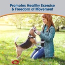 Four Paws Walk-About Tie-Out Cable 10 ft For Dogs 50 lbs