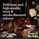 Taste of the Wild Canyon River Feline Dry Food