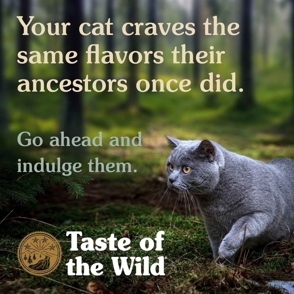 Taste of the Wild Canyon River Feline Dry Food